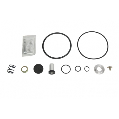 Relay Emergency Valve Rep Kit